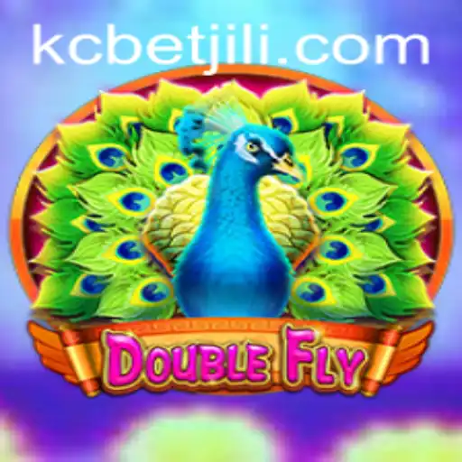 DoubleFly: An Exciting Journey into the World of Interactive Gaming